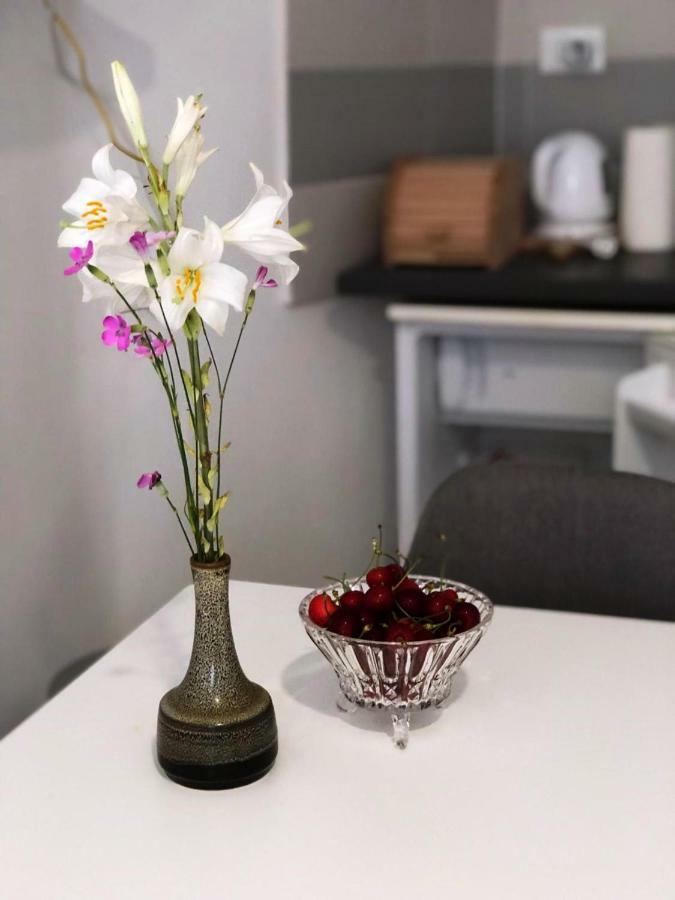 Monte B. Exclusive Apartment Ρόβινι Εξωτερικό φωτογραφία